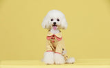 Duo Color Collar / Button- up Dog Onesie - Small Breed
