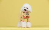 Duo Color Collar / Button- up Dog Onesie - Small Breed