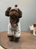 Dog Raincoat (Small Breed)