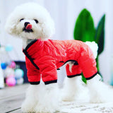 Winter Jacket - Space Cotton (Small Breed)