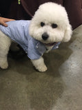 Winter Jacket (Small Breed)