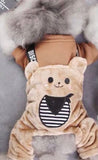 “ Teddy Bear “ Dog Outfit
