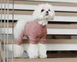3 Button Dog Onesie - Small Breed