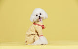 Duo Color Collar / Button- up Dog Onesie - Small Breed