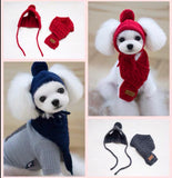 Dog Hat & Scarf (small breed)